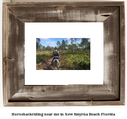 horseback riding near me in New Smyrna Beach, Florida